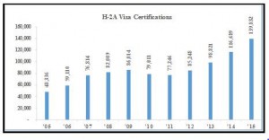 Visa Certifications
